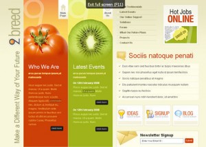 layout-7